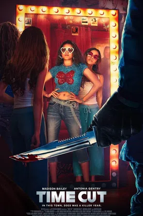 Laiko pjūvis Online